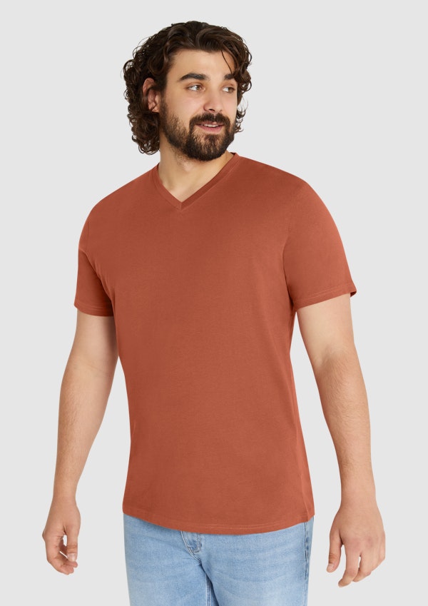 Essential V Neck Tee