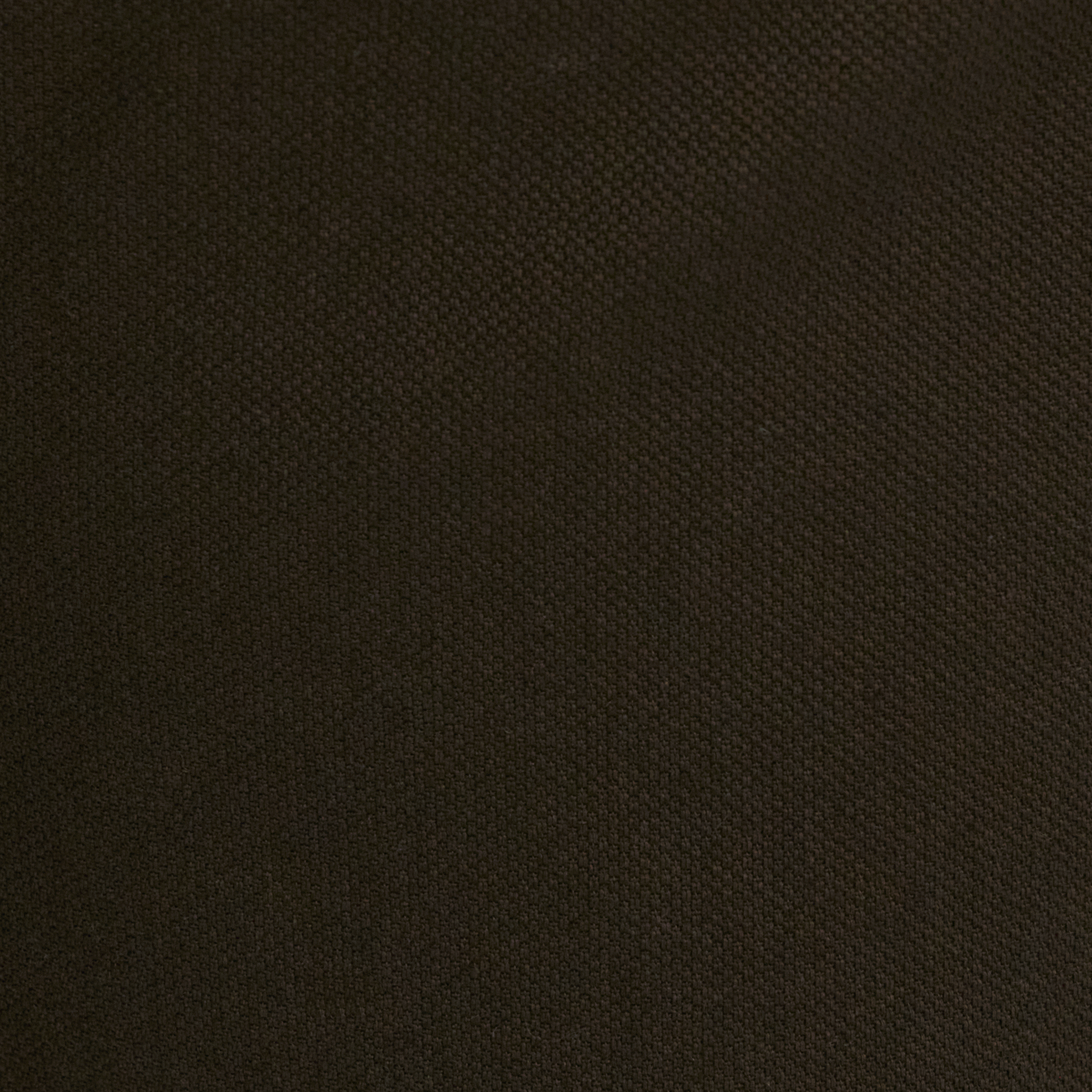 Army Charlie Canvas Short