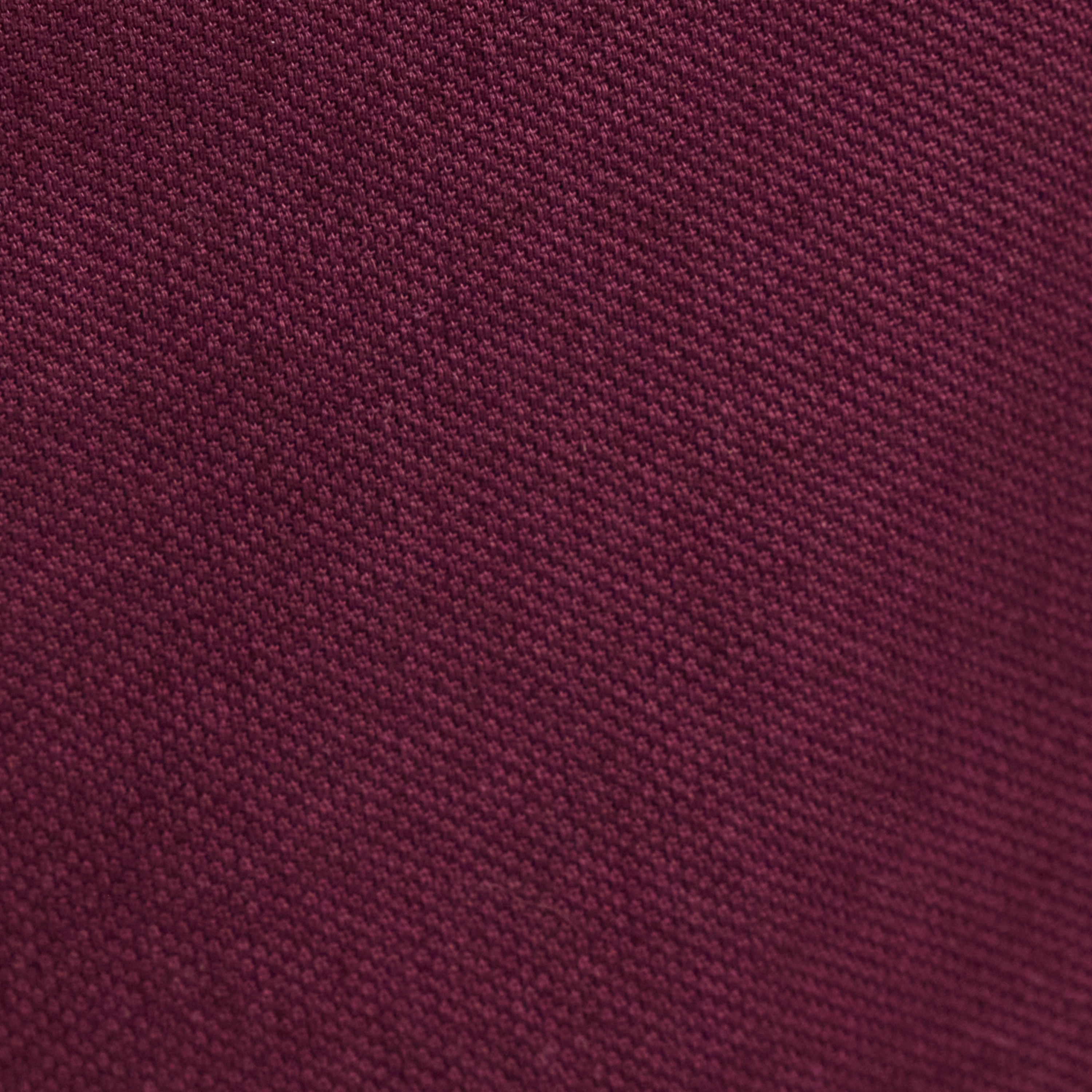 Burgundy Charlie Canvas Short