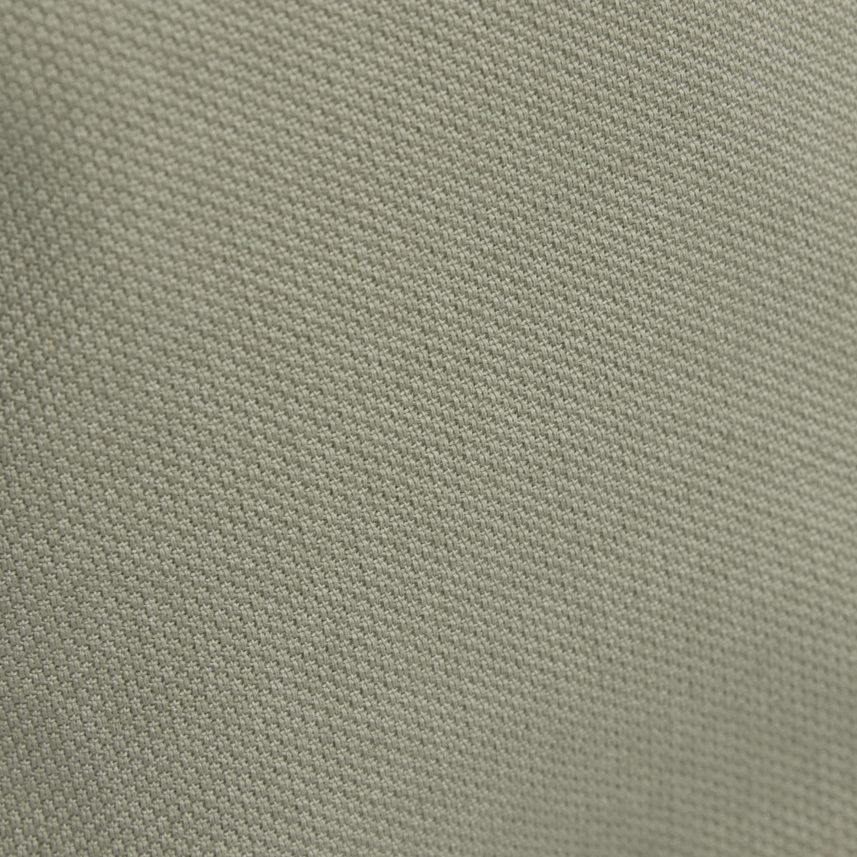 Moss Charlie Canvas Short