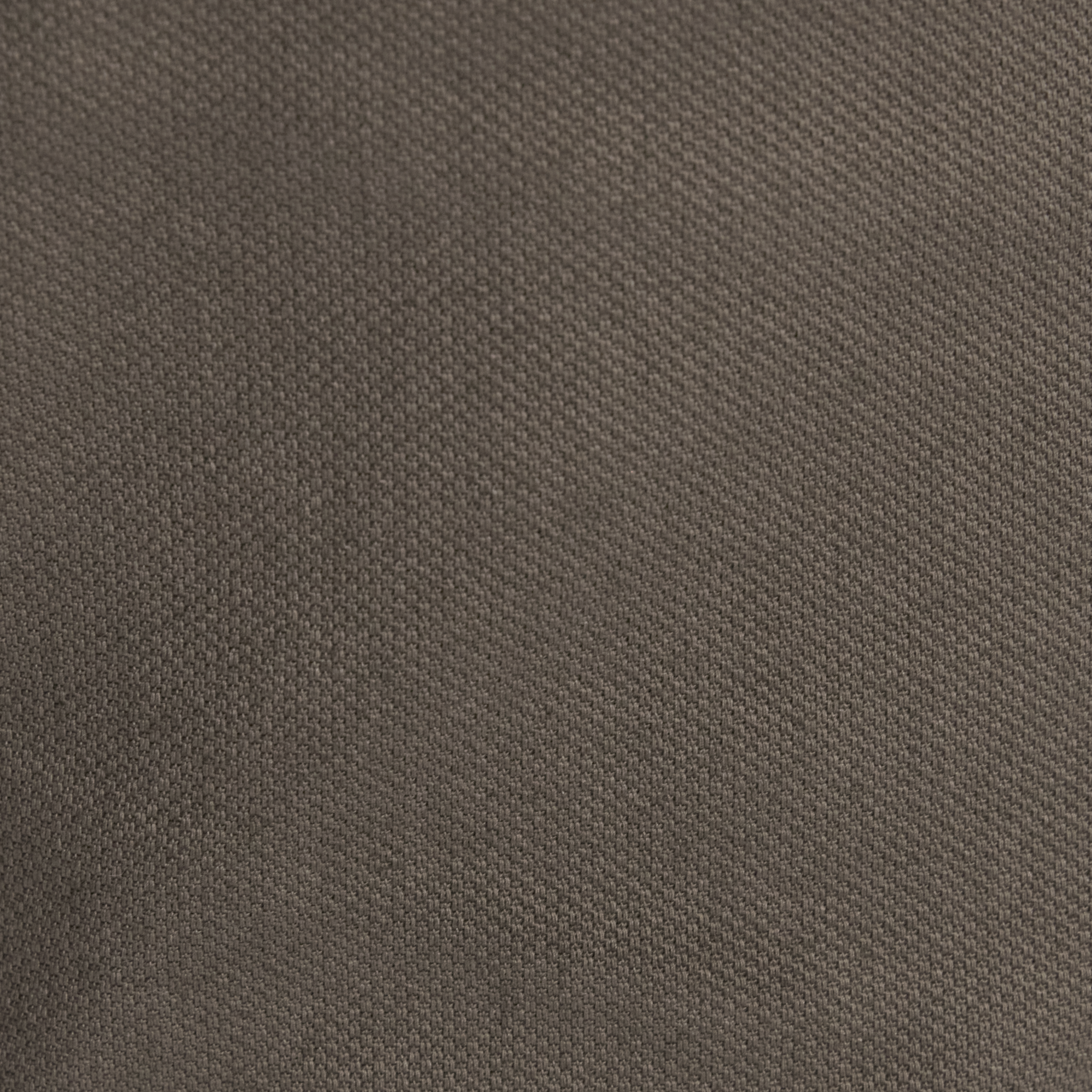 Walnut Charlie Canvas Short