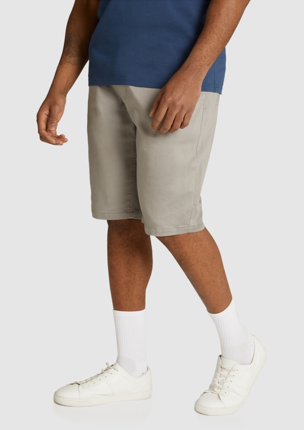 Grey Ferris Stretch Short