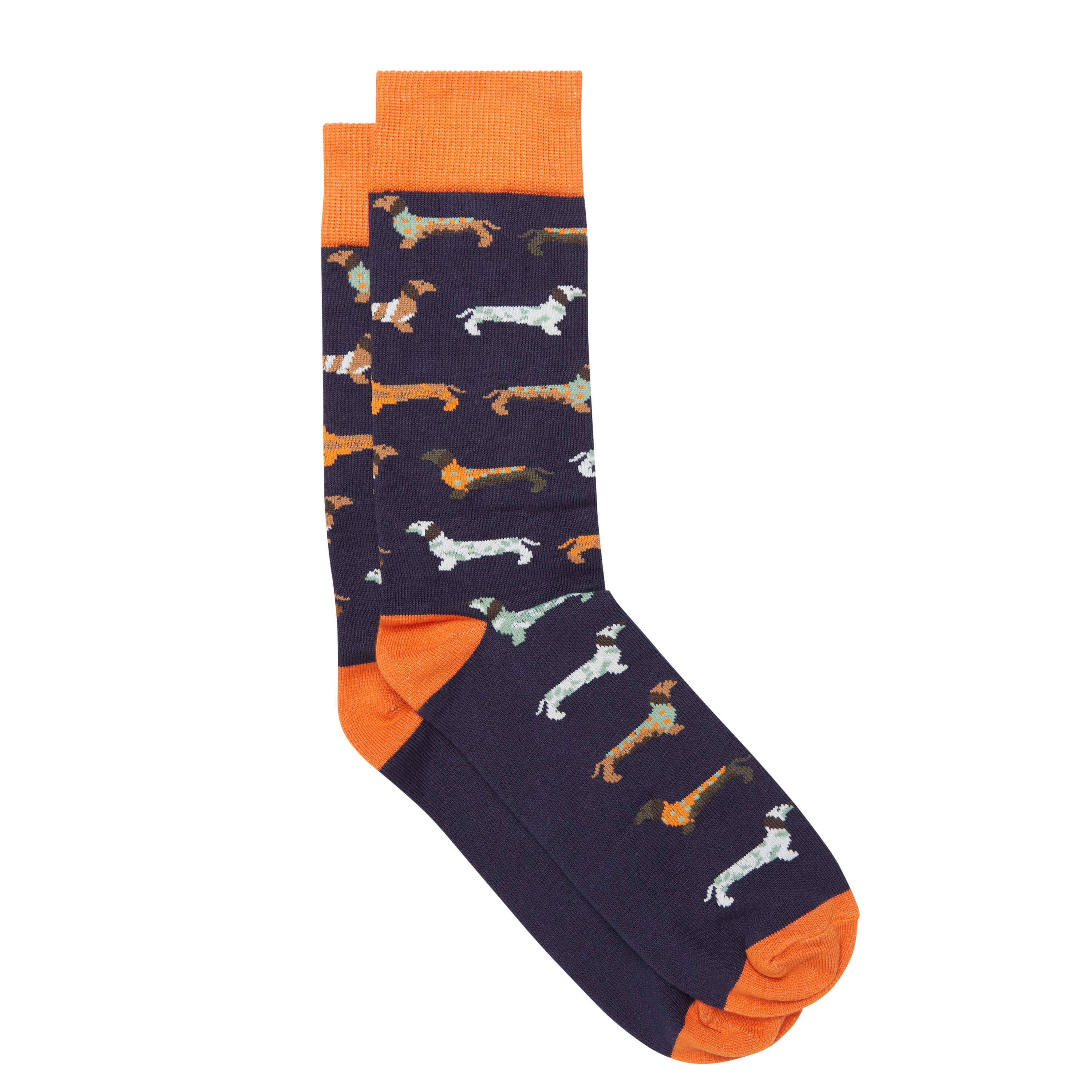 Dash Hound  Fancy Sock