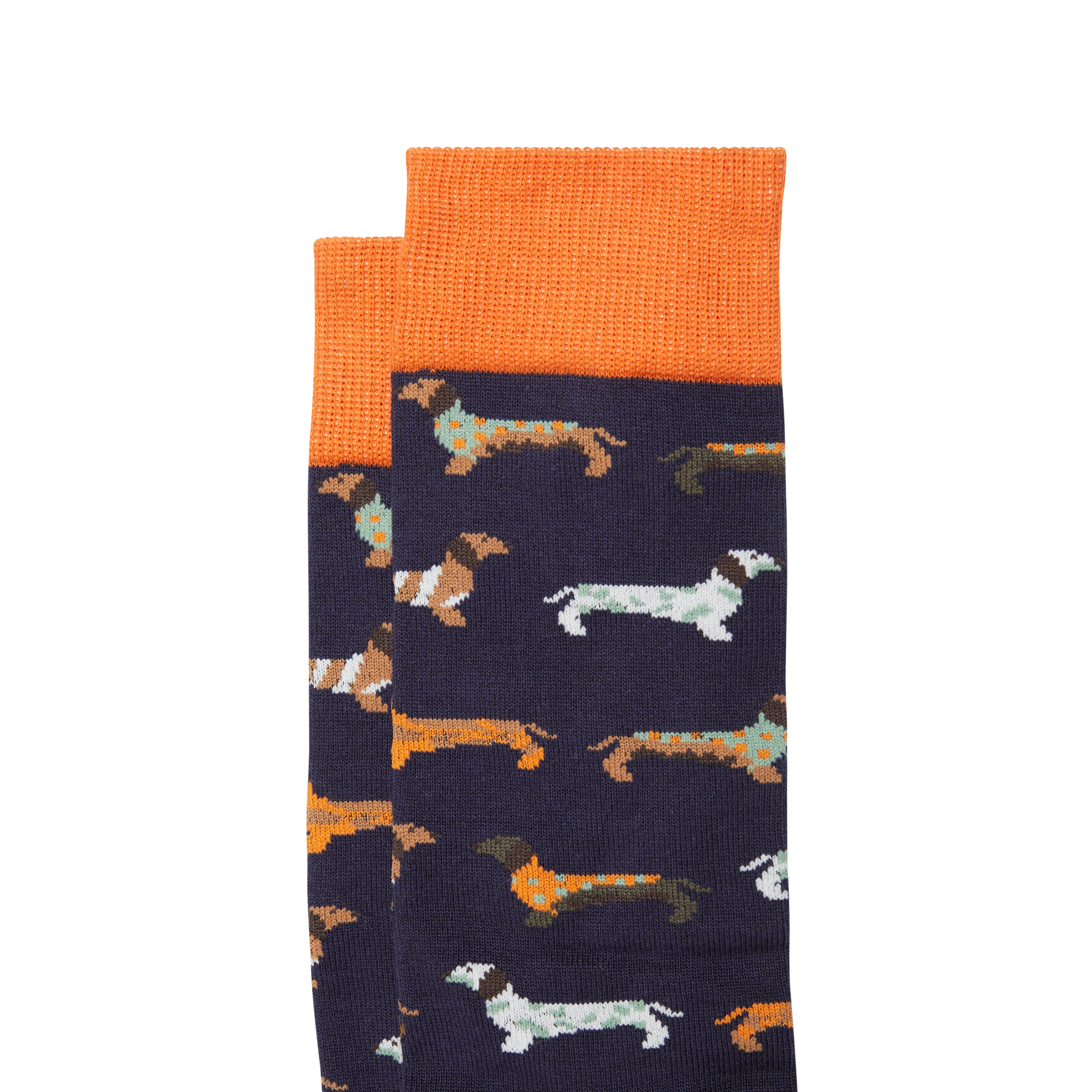 Navy Dash Hound  Fancy Sock