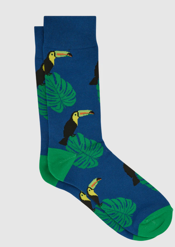 Palm Leaf Toucan Fancy Sock