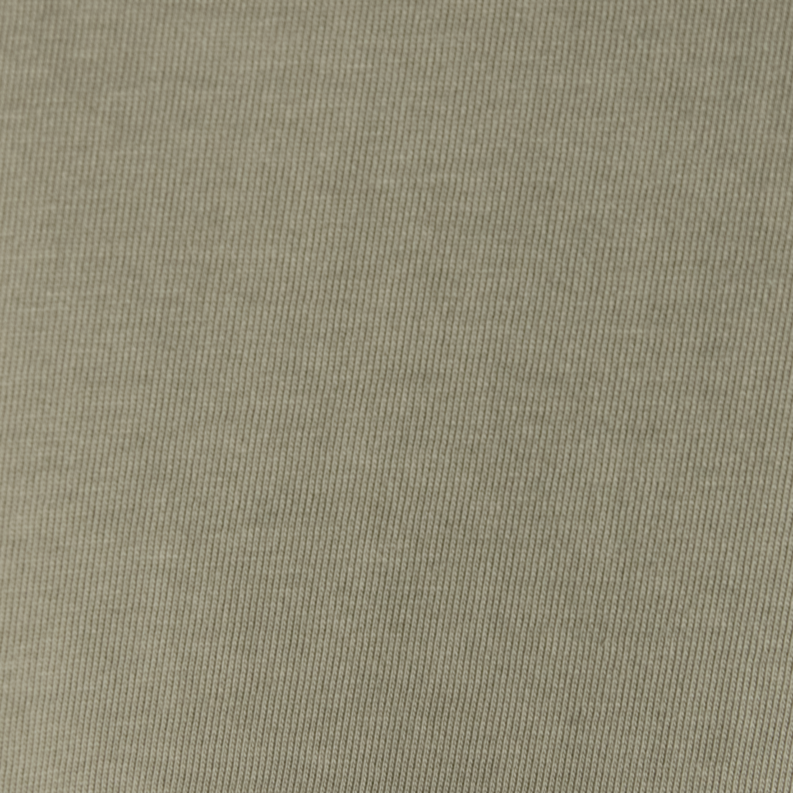 Moss Classic Heavy Weight Tee