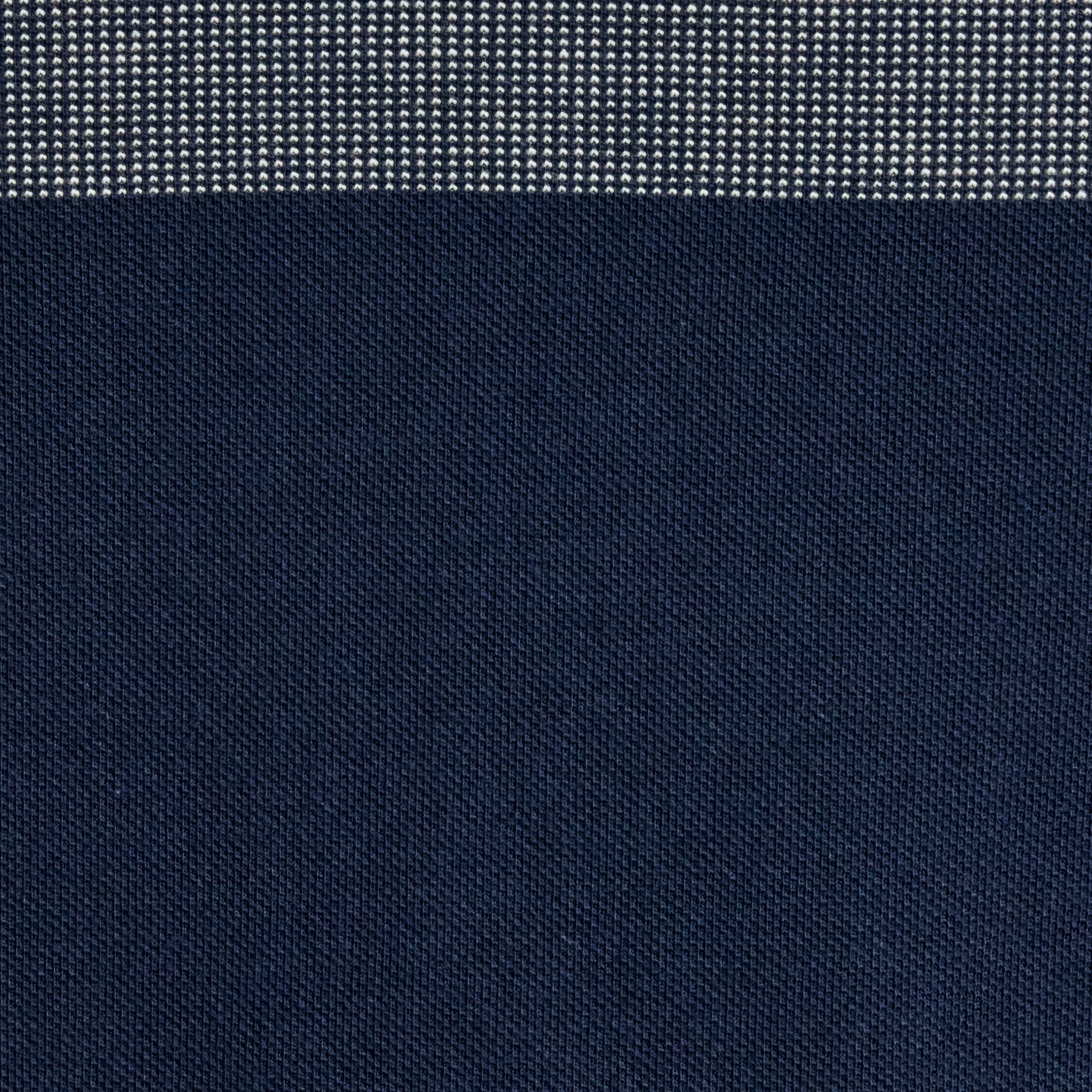 Blue Leon Stripe Polo