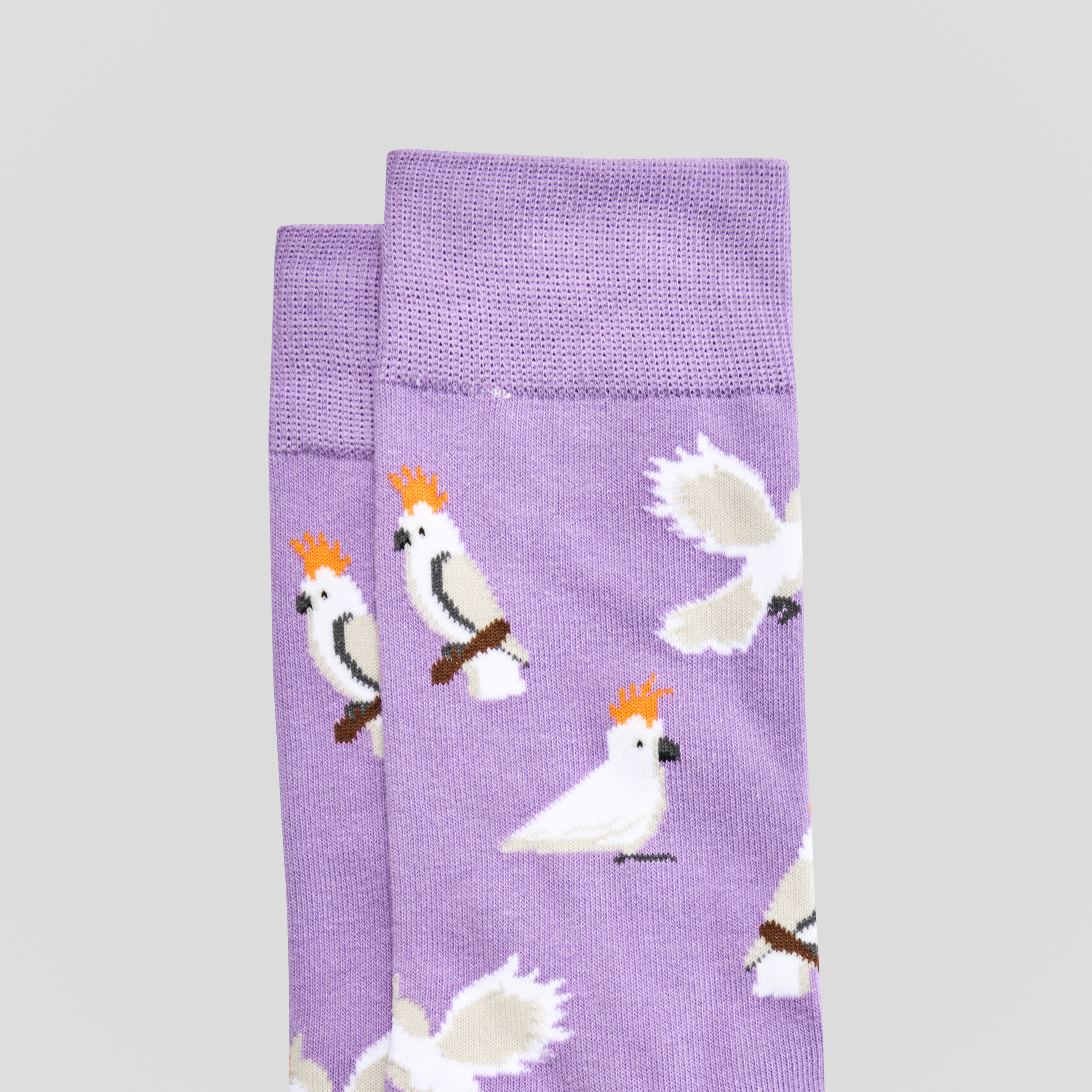 Lavender Cockatoo Fancy Sock