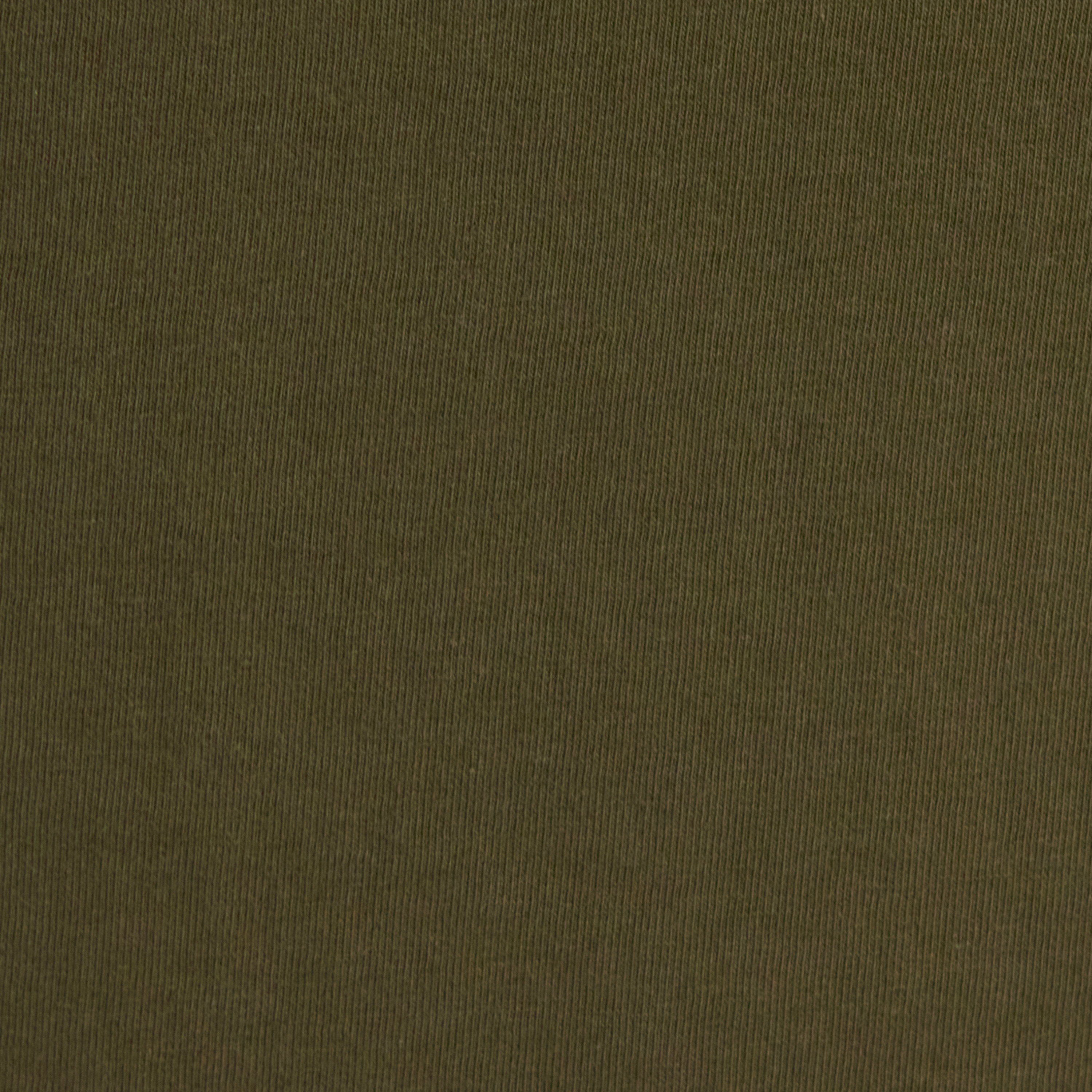 Dark Olive Sirene Crew Neck Tee