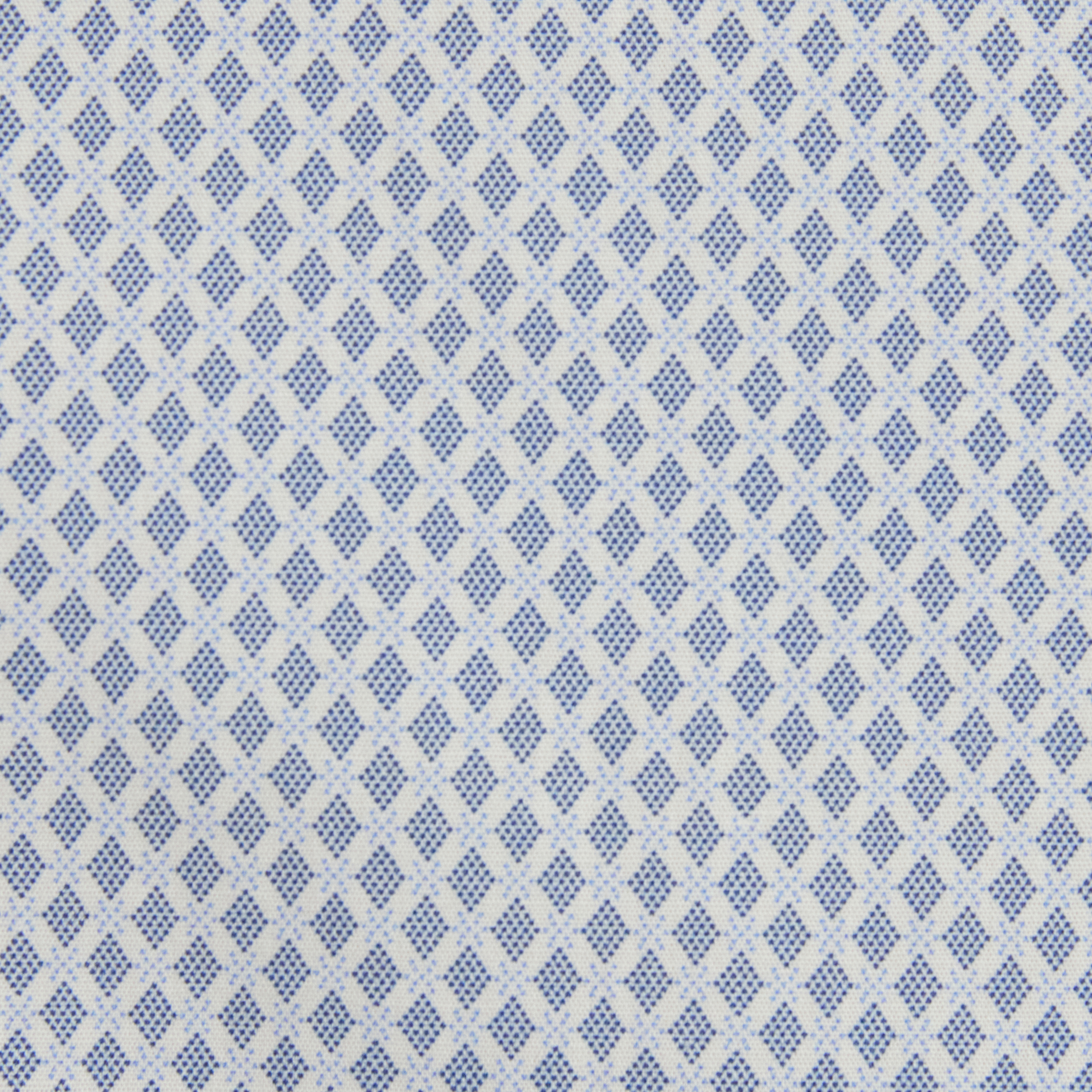 Blue Ethan Micro Print Shirt