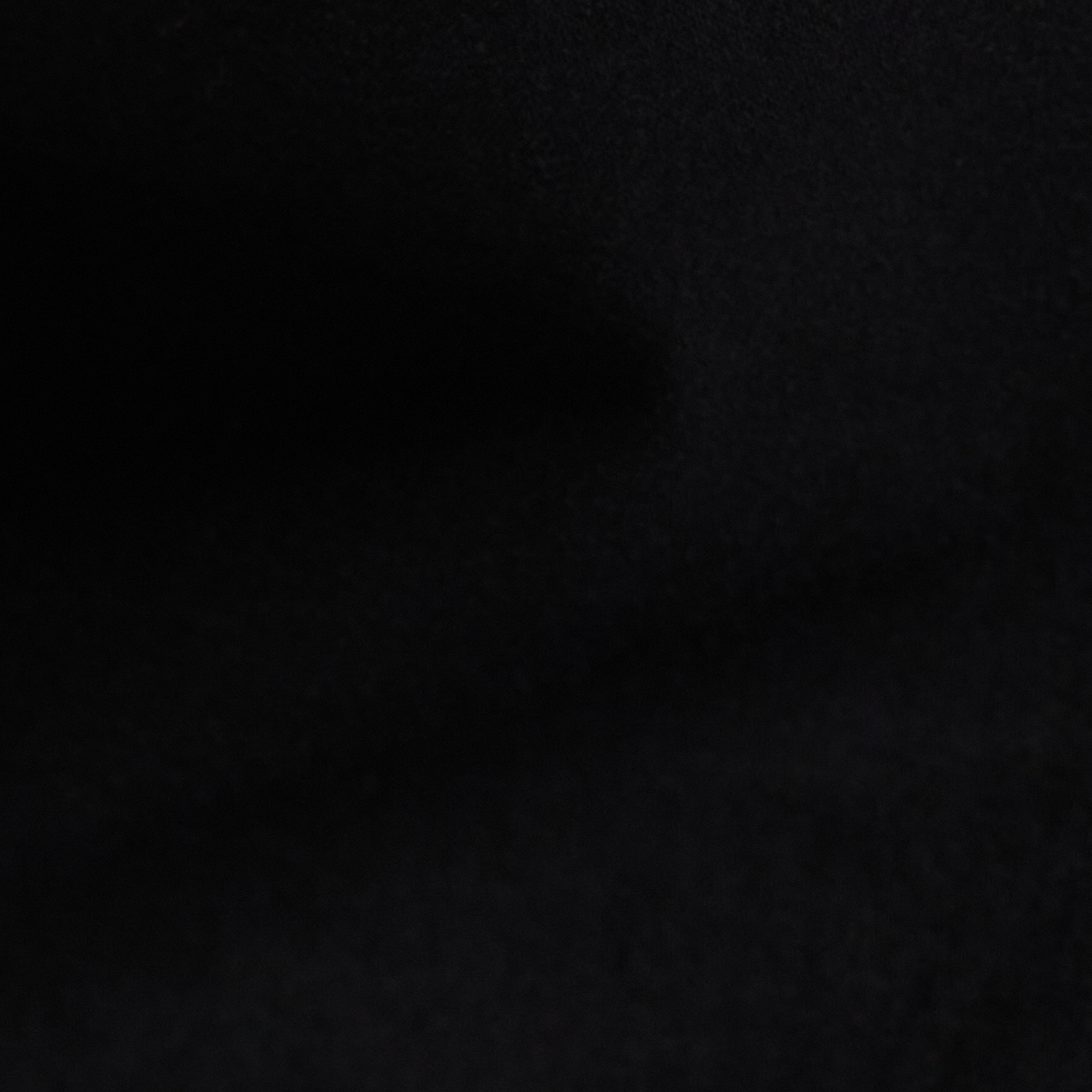 Black James Stretch Chino Short