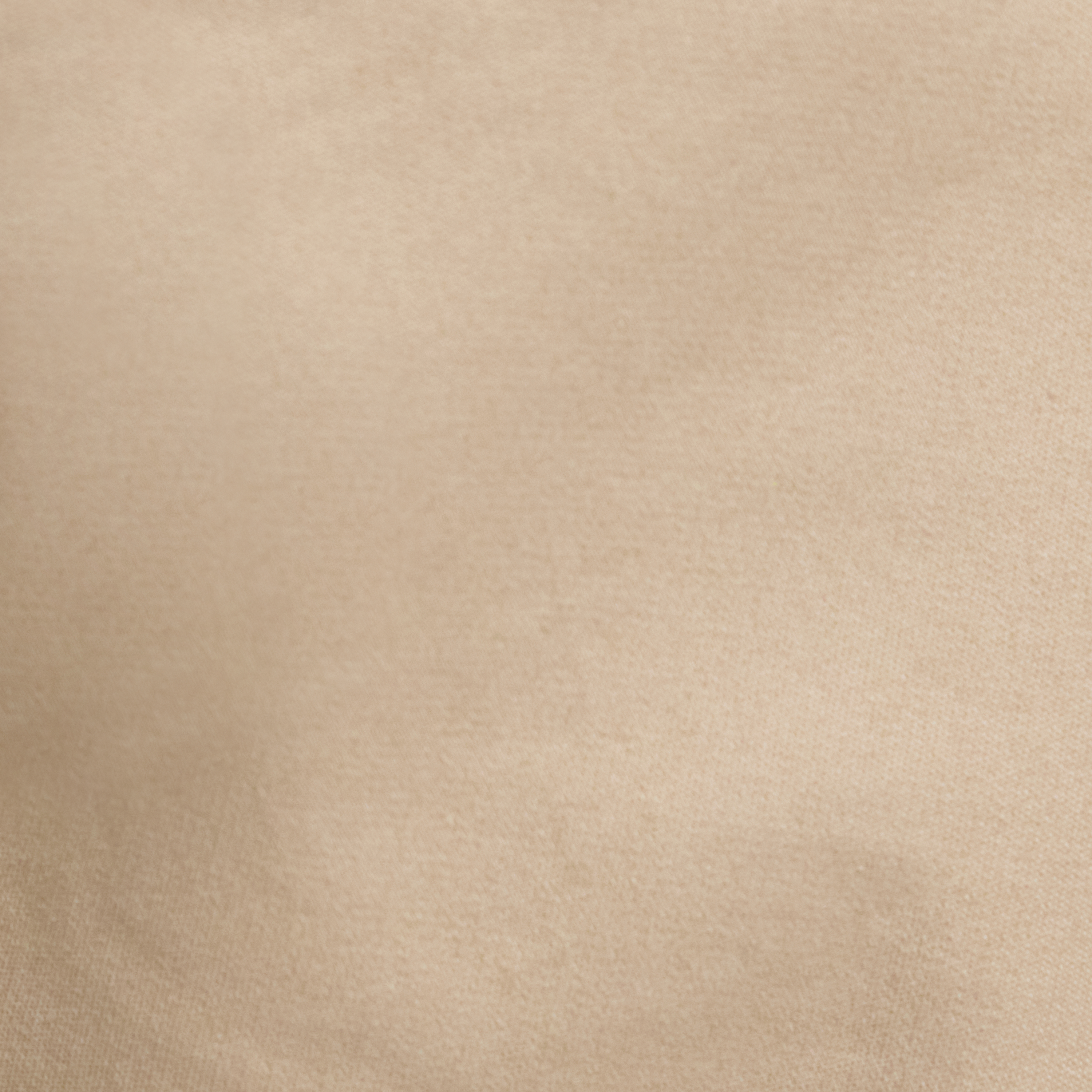 String Hugh Knit Chino Short