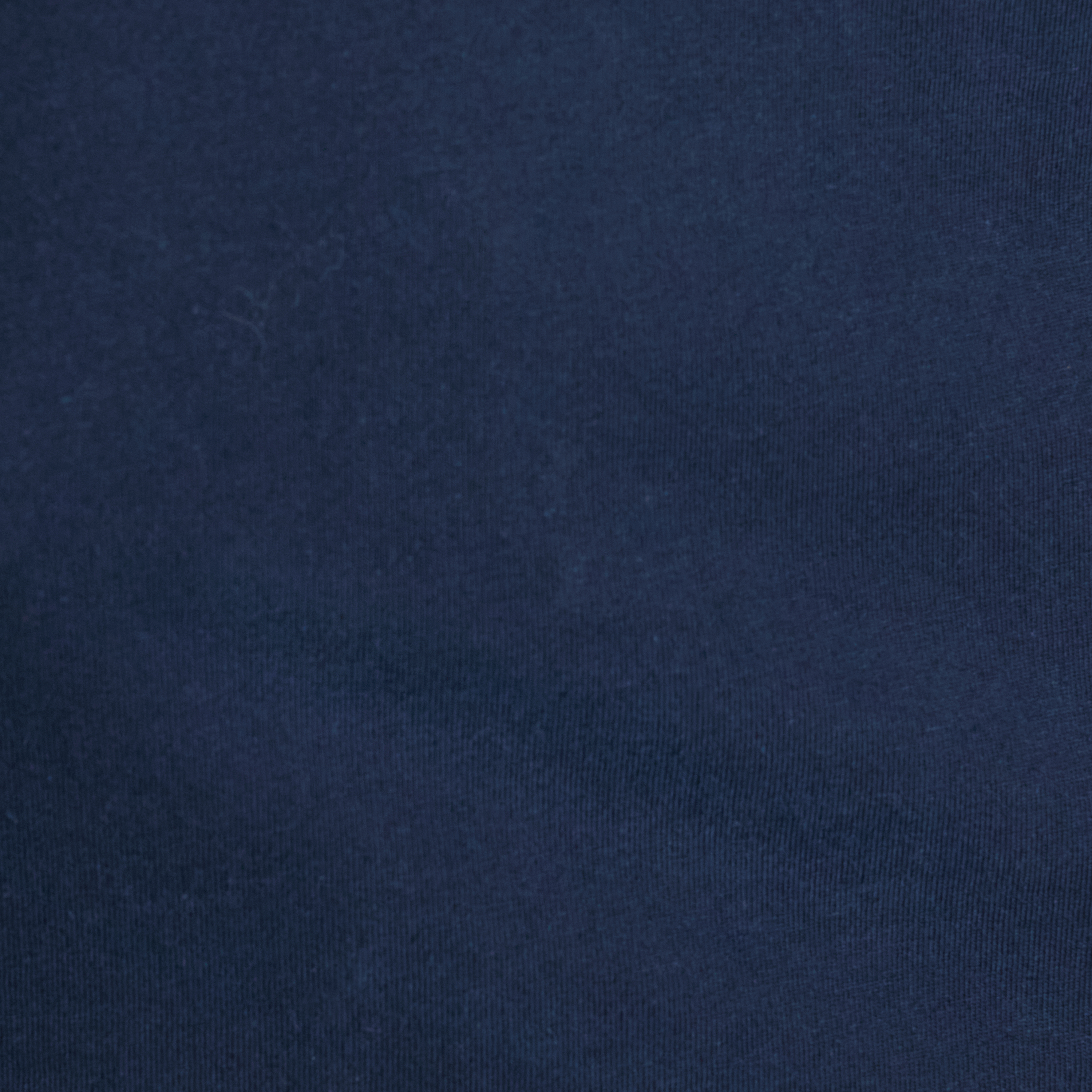 Navy Stallion Print Tee